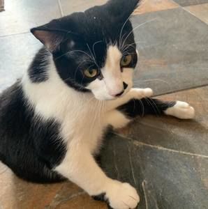 Meet your Posher, Alex